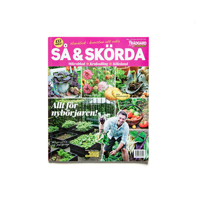 Linnea-Dickson-pressklipp-10