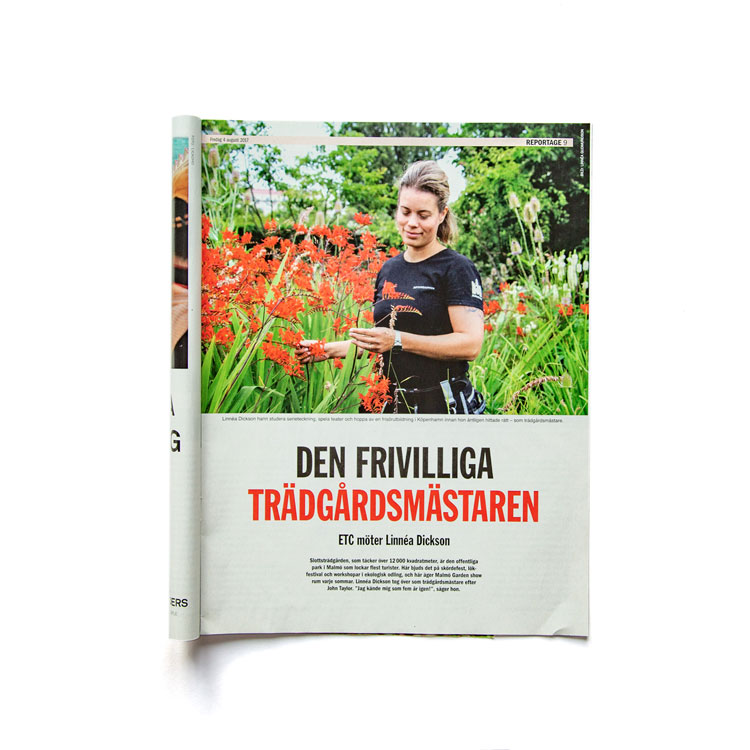 Linnea-Dickson-pressklipp-13