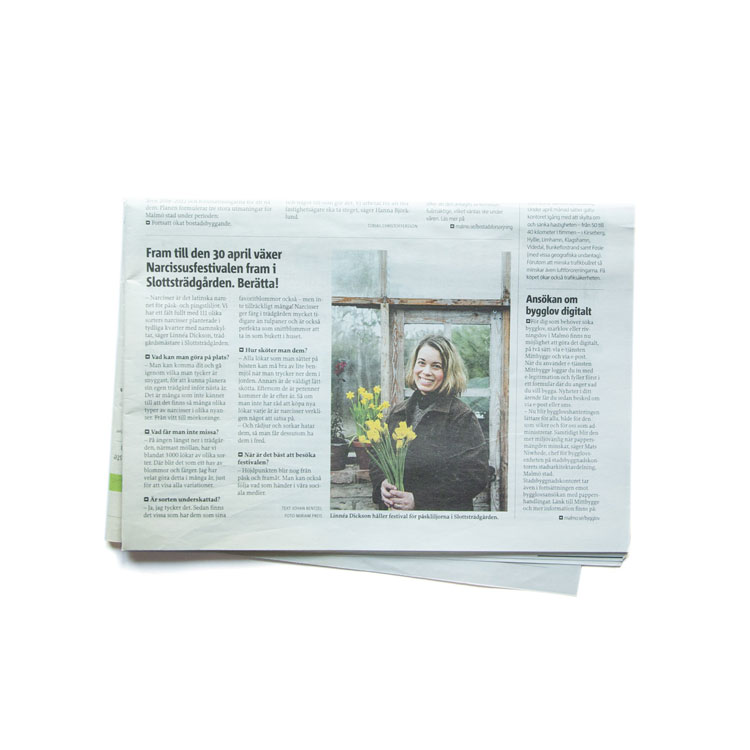 Linnea-Dickson-pressklipp-26