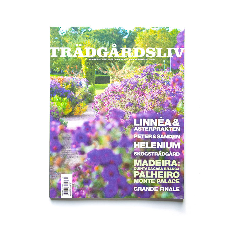 Linnea-Dickson-pressklipp01