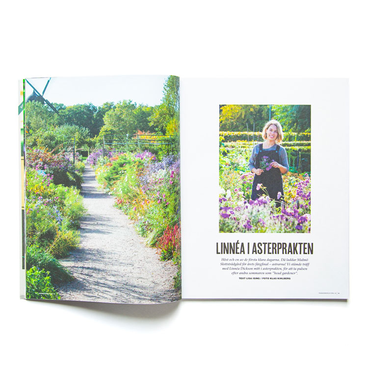 Linnea-Dickson-pressklipp02