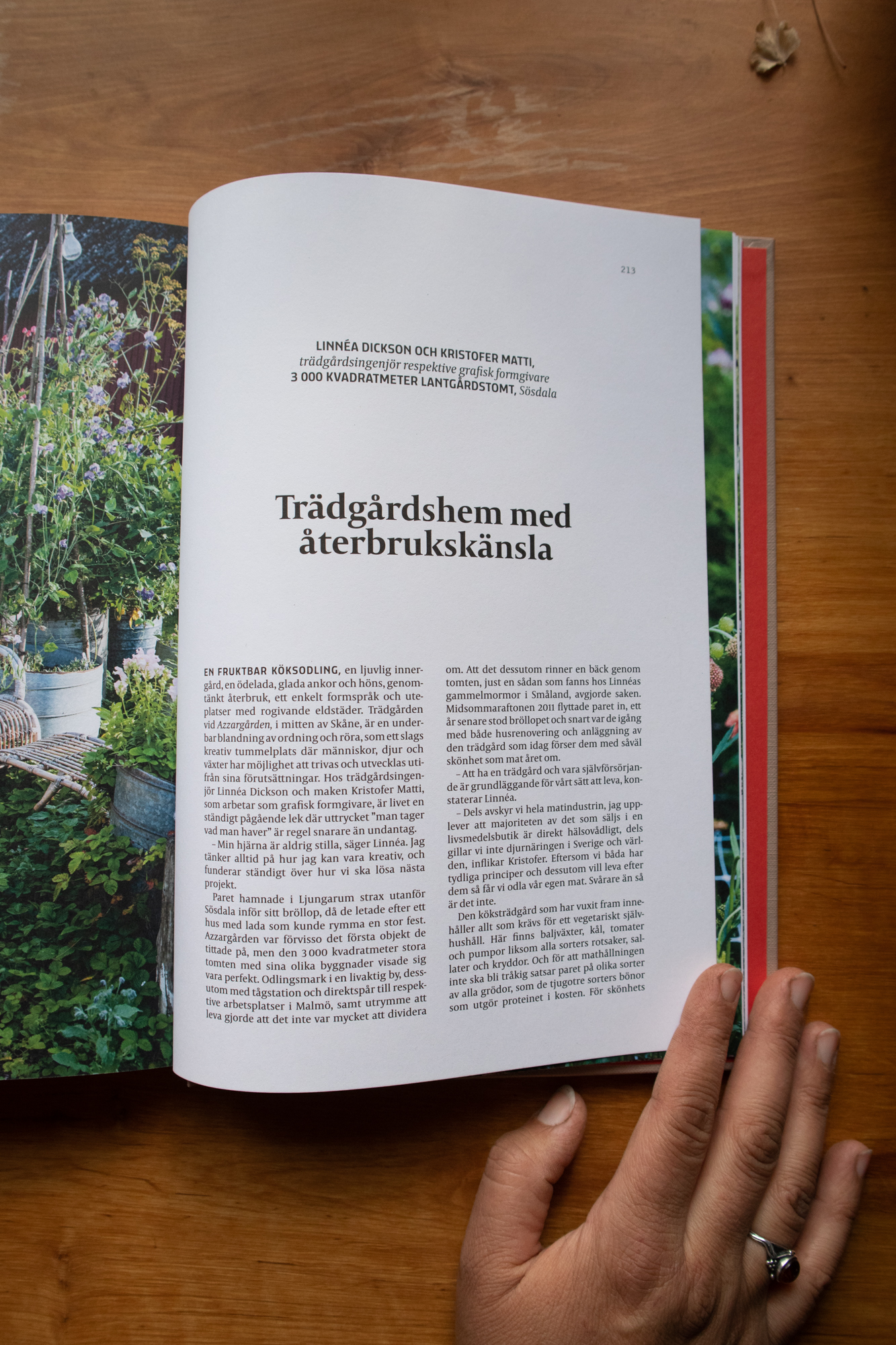 Linnea Dickson Mästarnas Trädgårdsrum 03